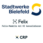 Neuordnung Felix-Modelle mit KI: Wie bei den Stadtwerken Bielefeld aus 15 Fernwärme-Modellen 9 wurden